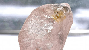 Découverte en Angola d'un diamant rose considéré comme le plus gros en 300 ans