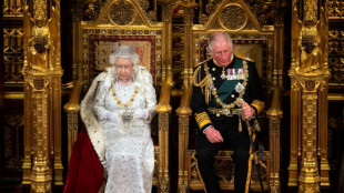 Prince Charles to stand in for Queen at UK parliament opening