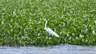 La Unión Europea contribuirá a regenerar el Lago de Yojoa, en Honduras