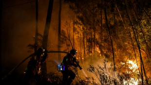 Feuerwehr kämpft gegen mehrere Waldbrände in Urlaubsregionen in Südfrankreich