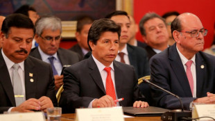 Presentan un nuevo pedido de destitución del presidente de Perú