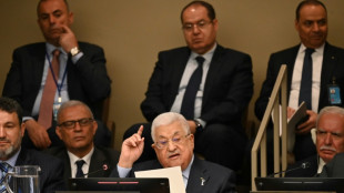 Presidente palestino pide "suspender" a Israel de la ONU en 75 aniversario de éxodo masivo