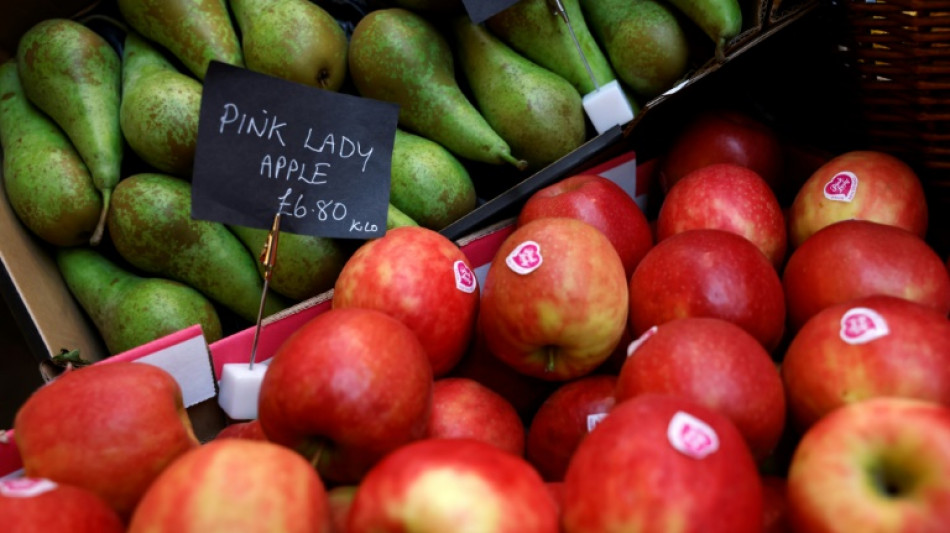 Los precios de los alimentos batieron récords en 2022 por la guerra en Ucrania