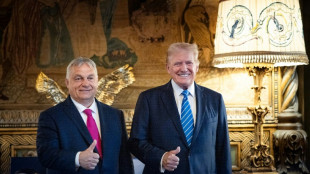 Hungary's Orban meets Trump after NATO summit