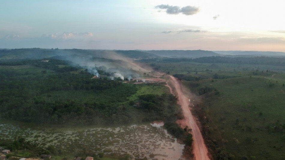 Amazonie: le "point de bascule" approche plus vite que prévu