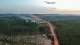 Amazonie: le "point de bascule" approche plus vite que prévu