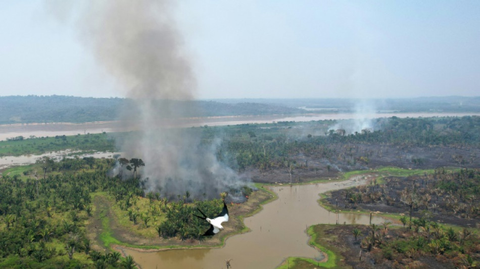 L'Amazonie brûle à la "nouvelle frontière de la déforestation"