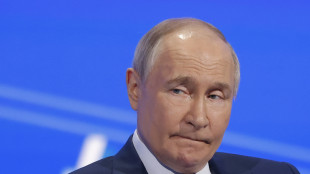 Putin, stop alle armi all'Ucraina per il cessate il fuoco