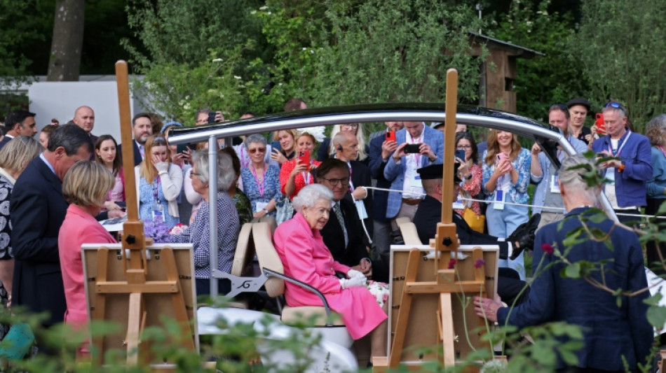 Chelsea Flower Show: unexpected gardeners and the queen in a buggy