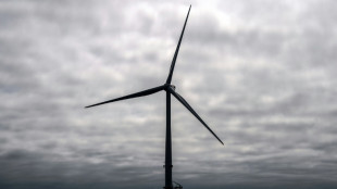 UK announces record green energy auction