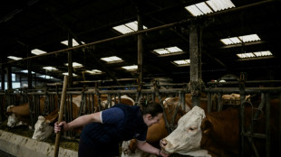 Sur la route des européennes - A Meuvy, "la colère agricole toujours là"