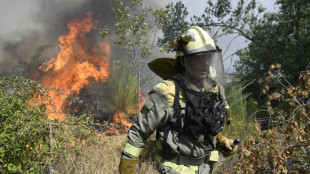 Un gran incendio en el este de España se reaviva y amenaza un parque natural