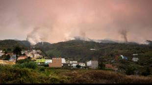 Feuerwehr kann bei Waldbrand auf Teneriffa Häuser vor Flammen schützen