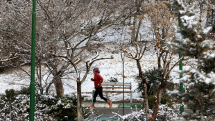 Iranian schools and offices shut as cold snap bites