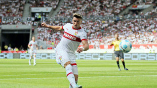 Demirovic schwärmt vom VfB: "Das große Ganze stimmt"