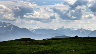 Pilot stirbt bei Absturz von Segelflugzeug in bayerischen Alpen