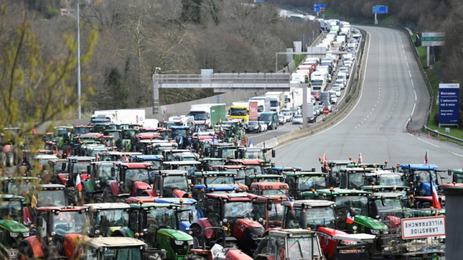 Agricultores franceses e espanhóis bloqueiam fronteira para 'ter peso' nas eleições europeias