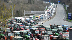 Agricultores franceses y españoles se manifiestan juntos para alertar a la UE