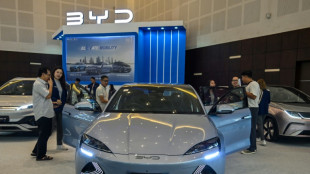 BYD says to build second EU factory despite EV slowdown