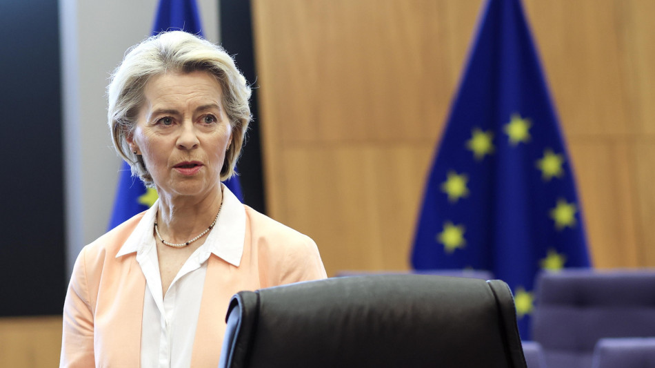 Von der Leyen vede i Verdi Ue in vista del voto al Pe