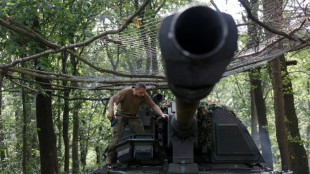 La larga batalla de Bajmut pasa factura a los cañones alemanes