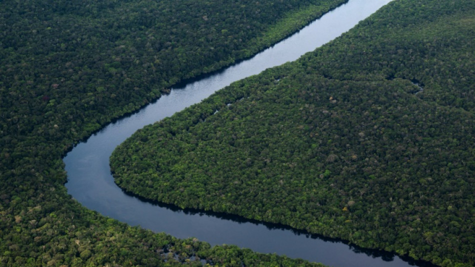 La UE prohíbe la importación de bienes procedentes de la deforestación