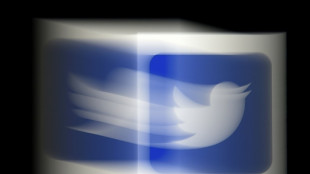 Twitter remove selo de verificação azul de usuários que não pagam