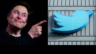 Cryptocurrency surges as Musk changes Twitter logo to 'meme dog'