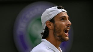 Musetti sets up Wimbledon semi-final duel with Djokovic