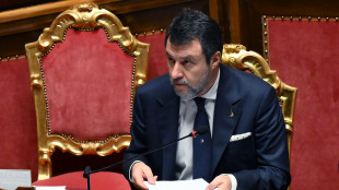 Salvini: 'Gli unici dazi li ha messi Bruxelles'