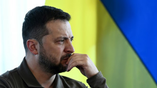 Ukraine organises peace meeting in Denmark