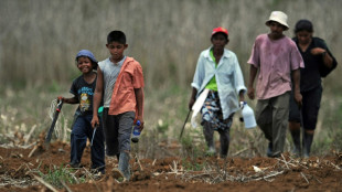 La ONU reconoce mejoras laborales en Costa Rica, aunque persisten los trabajos forzosos