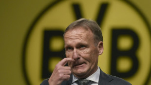 BVB knackt die halbe Milliarde Umsatz