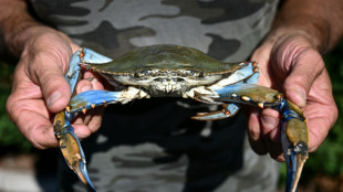 Le rapport sur les espèces invasives appelle le monde "à se réveiller" face ce "fléau"