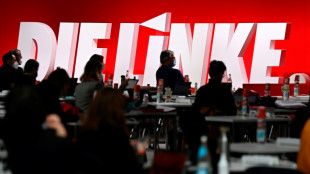 Linke kommt in Berlin zu Bundesparteitag zusammen