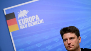 La extrema derecha alemana forma un nuevo grupo en el Parlamento Europeo