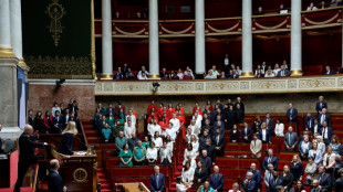 Diputados franceses se visten con los colores de la bandera palestina