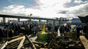 Retiran los últimos bloqueos de carreteras mantenidos por los agricultores en Francia