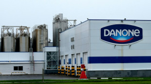 Russia seizes shares of Danone and Carlsberg subsidiaries: decree