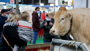 Au Salon de l'agriculture, le "plaisir" de retrouver le chemin de la ferme