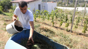 Albanian farmer feeds coffee to fields amid fertiliser crunch