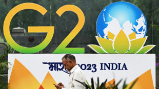 Quién va y quién no va a la cumbre del G20 en India