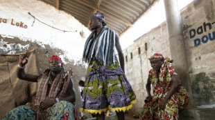 Benin's famed Voodoo festival draws back Afro-descendants 