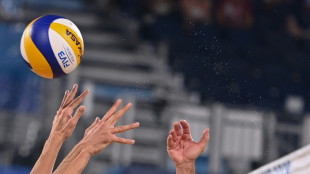 Volley: Kedzierzyn-Kozle réalise le doublé, Istanbul retrouve les sommets