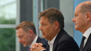 Lindner will bei Bundestagswahl auf Einwanderungs- und Sozialpolitik setzen