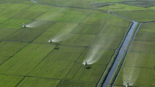 El líder norcoreano visita plantaciones golpeadas por un tifón en un contexto de escasez