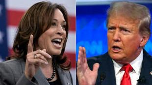 Harris et Trump maintenant engagés dans le sprint final