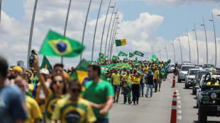 Protests wane in Brazil, but diehards stand by Bolsonaro