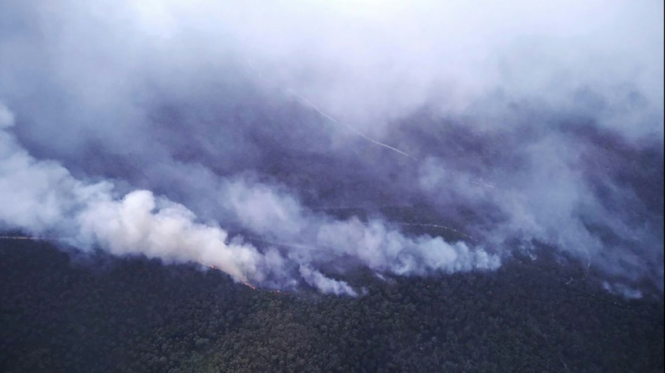 Fuertes incendios arrasan parques naturales en Australia