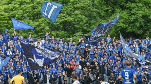 From non-league to top of the league for Japan upstarts Machida